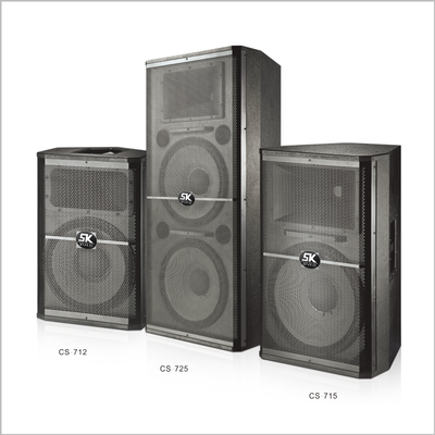 SRX丨Professional speaker